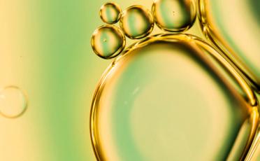 O que é Biodiesel? Vantagens e Desvantagens